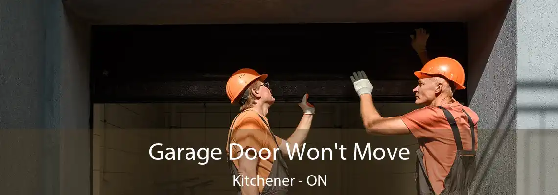 Garage Door Won't Move Kitchener - ON